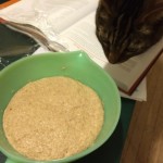 Whole Wheat Bread poolish and Cat